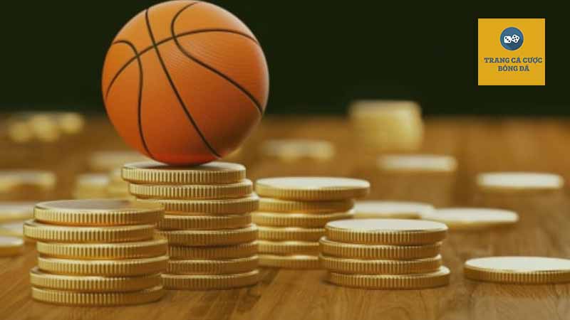 Các bước để đặt cược kèo Moneyline đơn giản dễ hiểu
