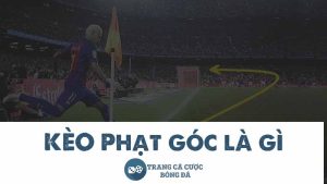 Tìm hiểu kèo phạt góc là gì và cách soi kèo đơn giản dễ hiểu