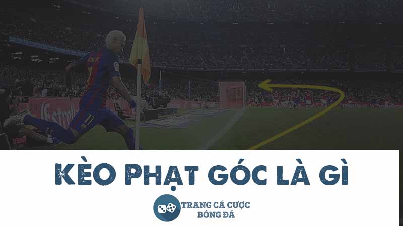 Tìm hiểu kèo phạt góc là gì và cách soi kèo đơn giản dễ hiểu